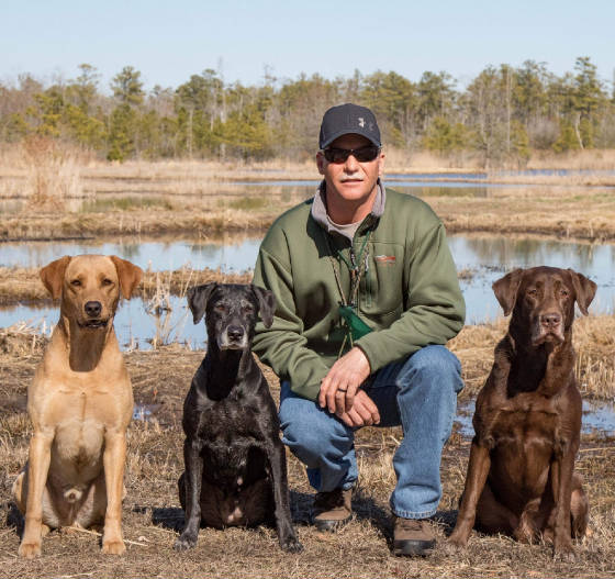 Hunting retrievers for store sale